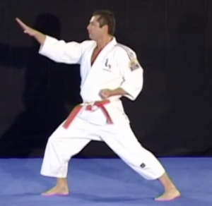 Coup de poing atemi en jujitsu Shuto