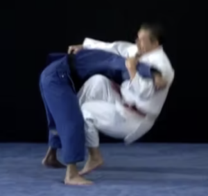 Technique de judo Hiki-komi-gaeshi