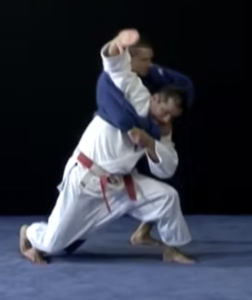 Technique de judo O-Soto-makikomi