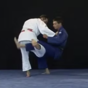 Technique de judo O-uchi-gari