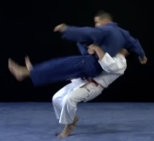 Technique de judo Daki-wakare