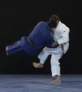 Technique de judo Tsubame-gaeshi